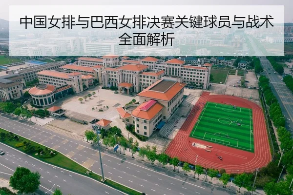 中国女排与巴西女排决赛关键球员与战术全面解析